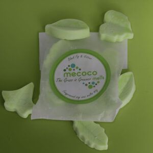 The Grass is Greener / Black Fig & Vetiver, Green Scented Soy Wax Melts refill bag